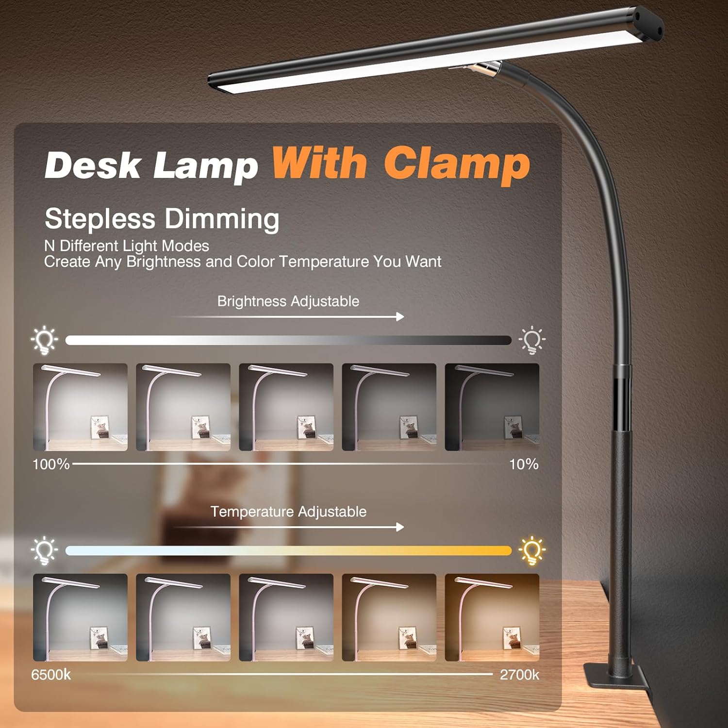 Black Clamp Desk Lamp with Flexible Gooseneck