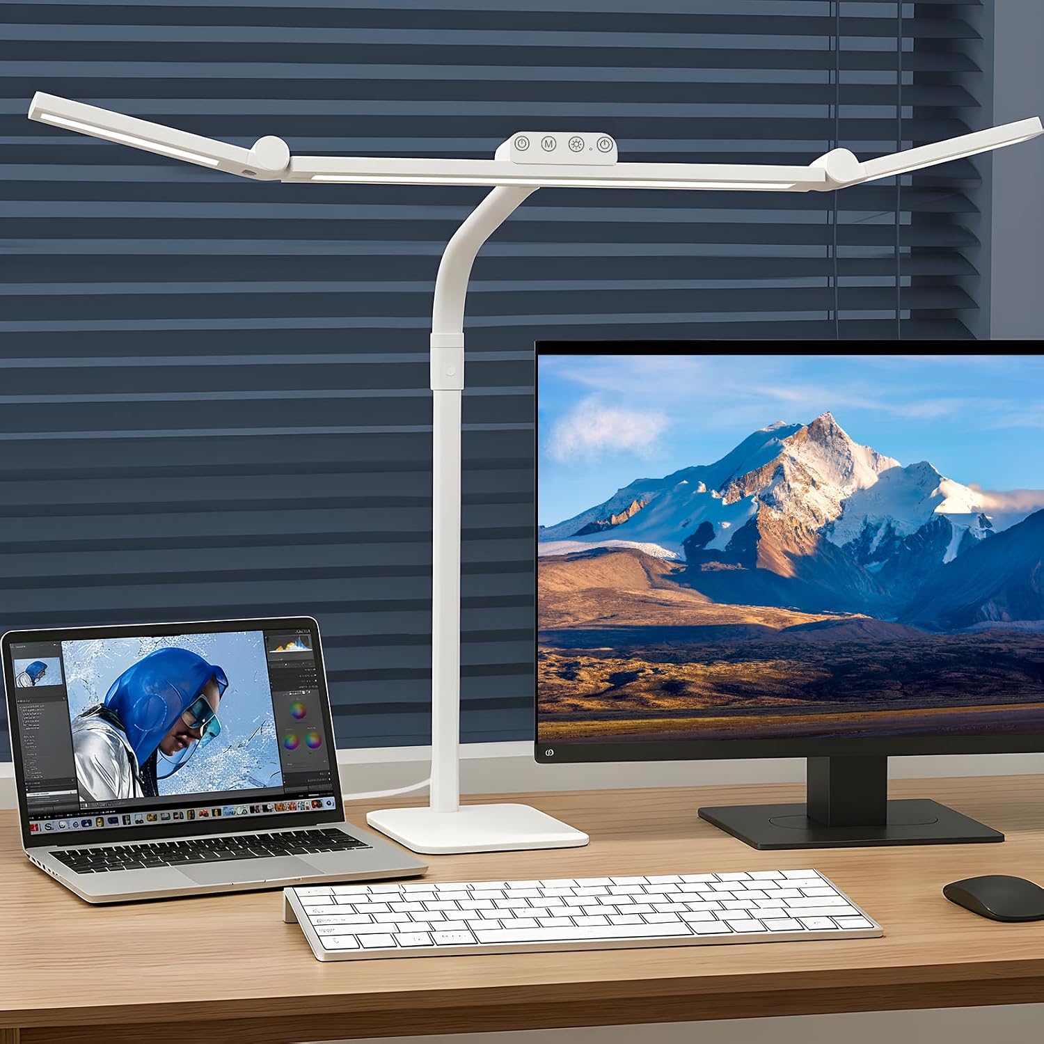 Black Dual-Head LED Desk Lamp