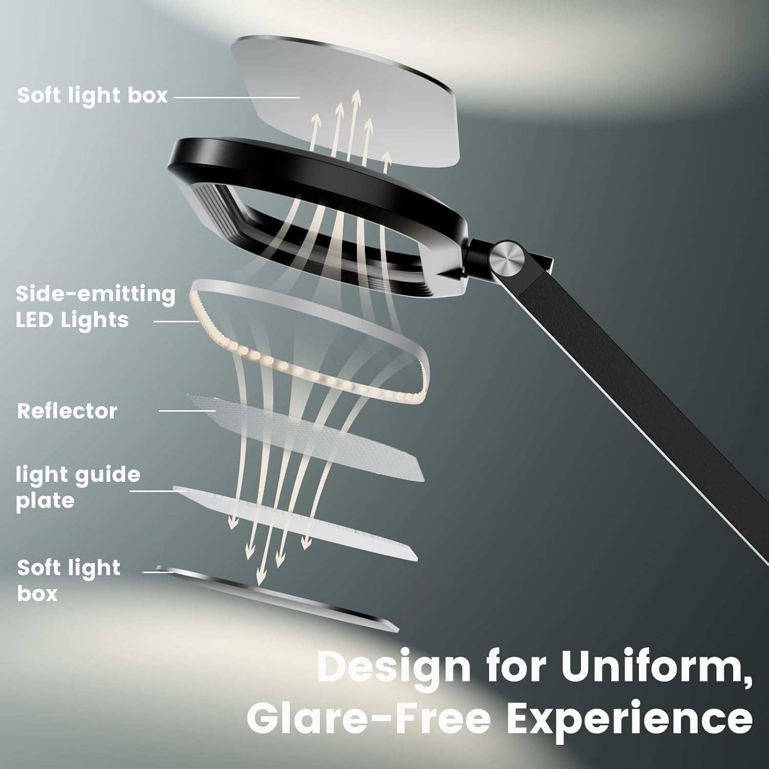 Black Dual-Sided Clamp LED Desk Lamp